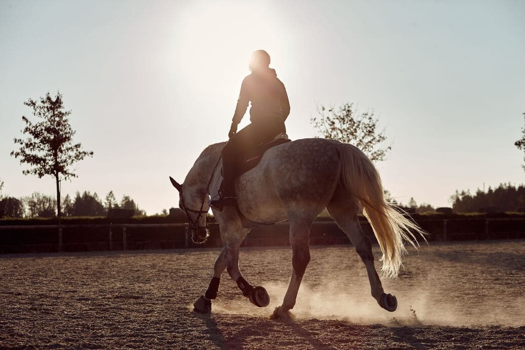 Jazda konna to wymagający sport, trzeba mieć mocne stawy i mięśnie, dlatego trzeba zadbać o ich wzmocnienie stosując suplement kolagenowy. 